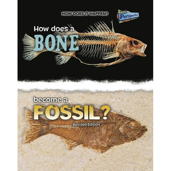 How Does It Happen How Does a Bone Become a Fossil?, (Paperback)