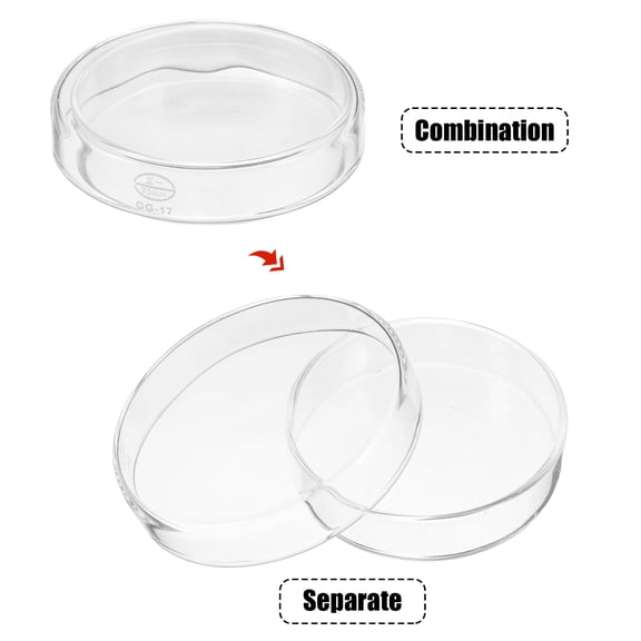 ELAYARD Transparent Glass Petri Dish Set with Lid for Cell Culture, Laboratory Use, Scientific Experiments and Research