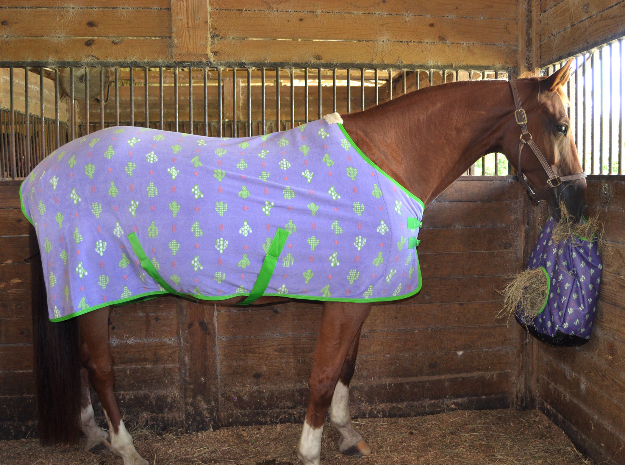Jeffers Expression "Prickly Cactus" Fleece Horse Cooler