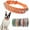 Orange, variant on 1Pack Spiked Dog Collar,Mushroom Rivet Spike Puppy Collars Girls Boys Leather Studded Cat Collar Metal Buckle for XXS XS Small Medium Large Terrier Breed