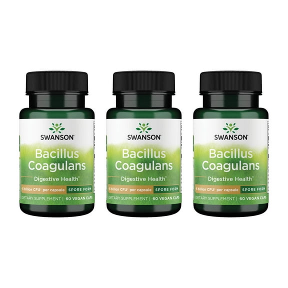 Swanson Bacillus Coagulans - Natural Probiotic Supplement Supporting Digestive Health w/ 6 Billion CFU - May Support GI & Overall Gut Health - (60 Veggie Capsules)(3 Pack)