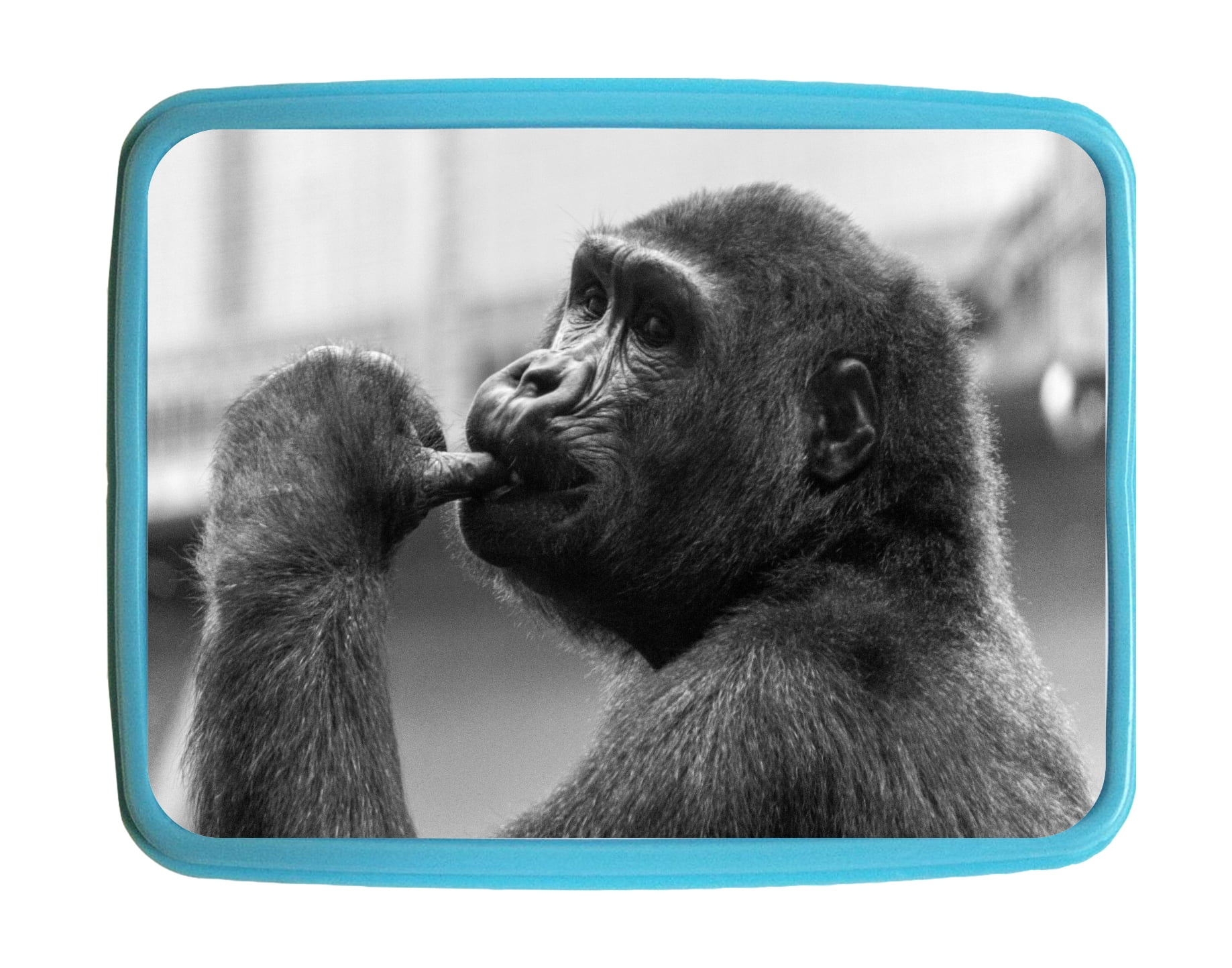 Lunchbox Pets Gorilla Kids Bento Lunch Box with 3 Compartment Food