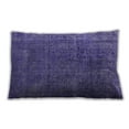 thumbnail image 1 of Ahgly Company Indoor Rectangular Mid-Century Modern Lumbar Throw Pillow, 13 inch by 19 inch, 1 of 5