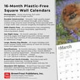 thumbnail image 6 of Pomeranians 2025 12 X 24 Inch Monthly Square Wall Calendar Plastic-Free (Wall), 6 of 9