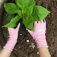 thumbnail image 4 of Qear 3 Pair Pink Gardening Gloves for Women, Textured Latex Rubber Palm Coating, Anti-Slip, Small, 4 of 6