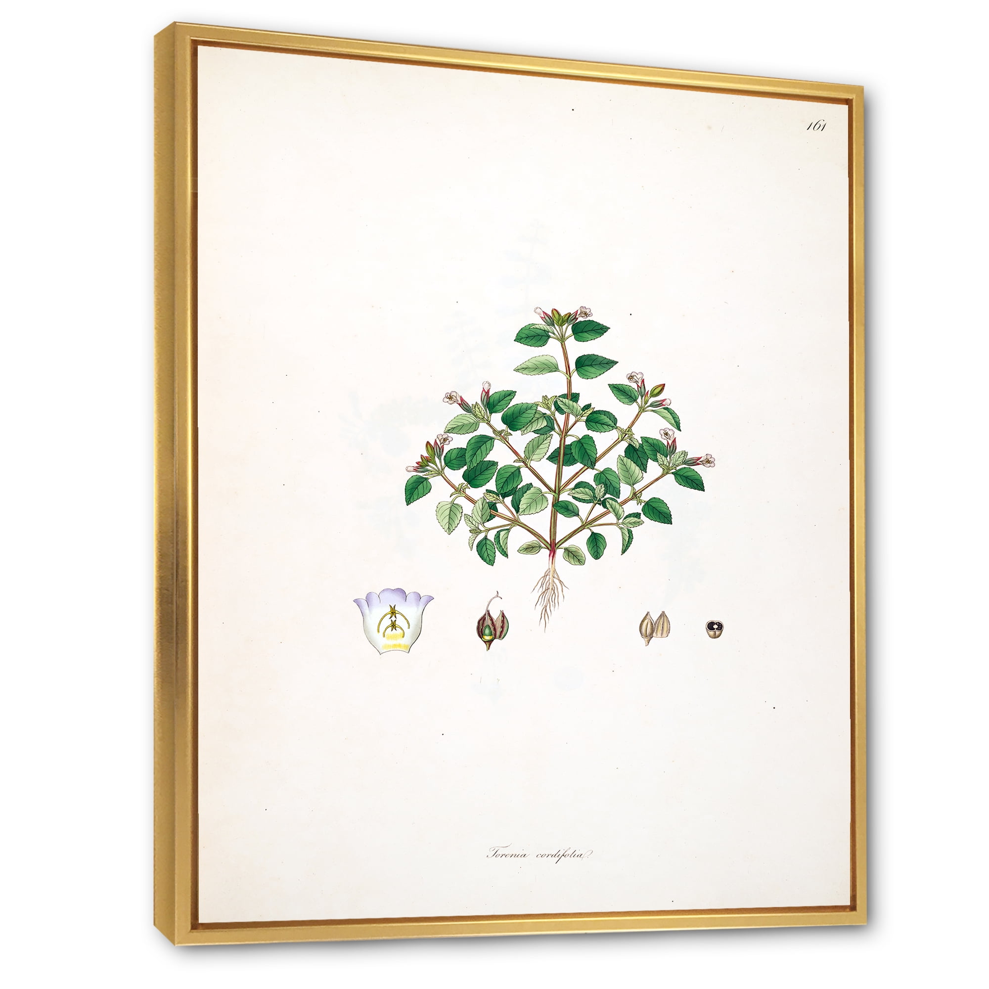 Designart 'Ancient Plant Life XIII' Farmhouse Framed Canvas Wall Art Print