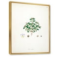 thumbnail image 3 of Designart 'Ancient Plant Life XIII' Farmhouse Framed Canvas Wall Art Print, 3 of 5