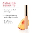thumbnail image 2 of 100% PURE 2nd Skin Concealer (Fruit Pigmented), Shade 4, Full Coverage, Lightweight, Liquid Concealer for Face, Under Eyes, Vegan Makeup (For Medium Skin w/Warm Olive Undertones) - 0.17 Fl Oz, 2 of 8