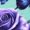 Blue-1, variant on UNISHE Women's Purple Roses & Blue Butterflies Graphic V-Neck Sleeveless T-Shirt Casual Summer Tank Top