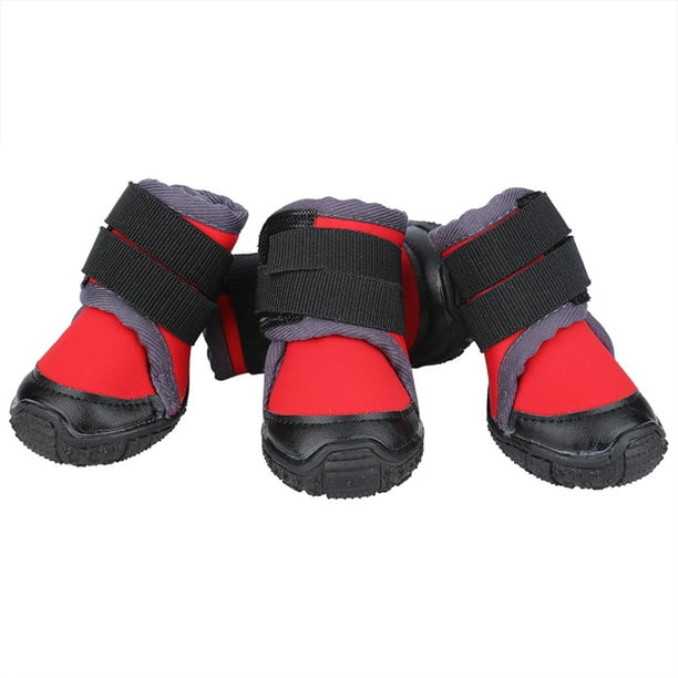 Dog training shoes deals