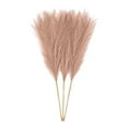 thumbnail image 4 of ZheElen 3pcs/set Atmosphere With Artificial Pampas Reed Boho Decor Artificial Flower Light Coffee 5Set, 4 of 6