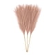 thumbnail image 5 of Naiovety Caña de Pampas Artificial de ambiente de 3 piezas para decoración relajante y que no se desprende, flor Artificial, café claro Café ligero 2piezas, 5 of 6