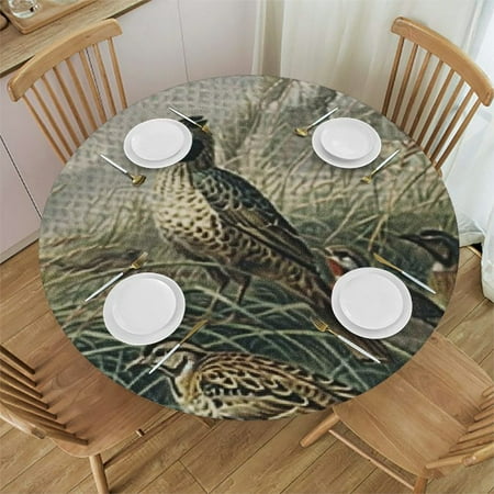 

SHERONV Birds Grass Rocks Round Tablecloth Stain-Resistant Washable 38 -42