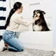 thumbnail image 5 of Felpudo DogBuddy para perro, superabsorbente, impermeable, 60 x 76 cm, 5 of 9