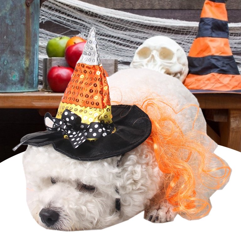 Wizard hat clearance for dog