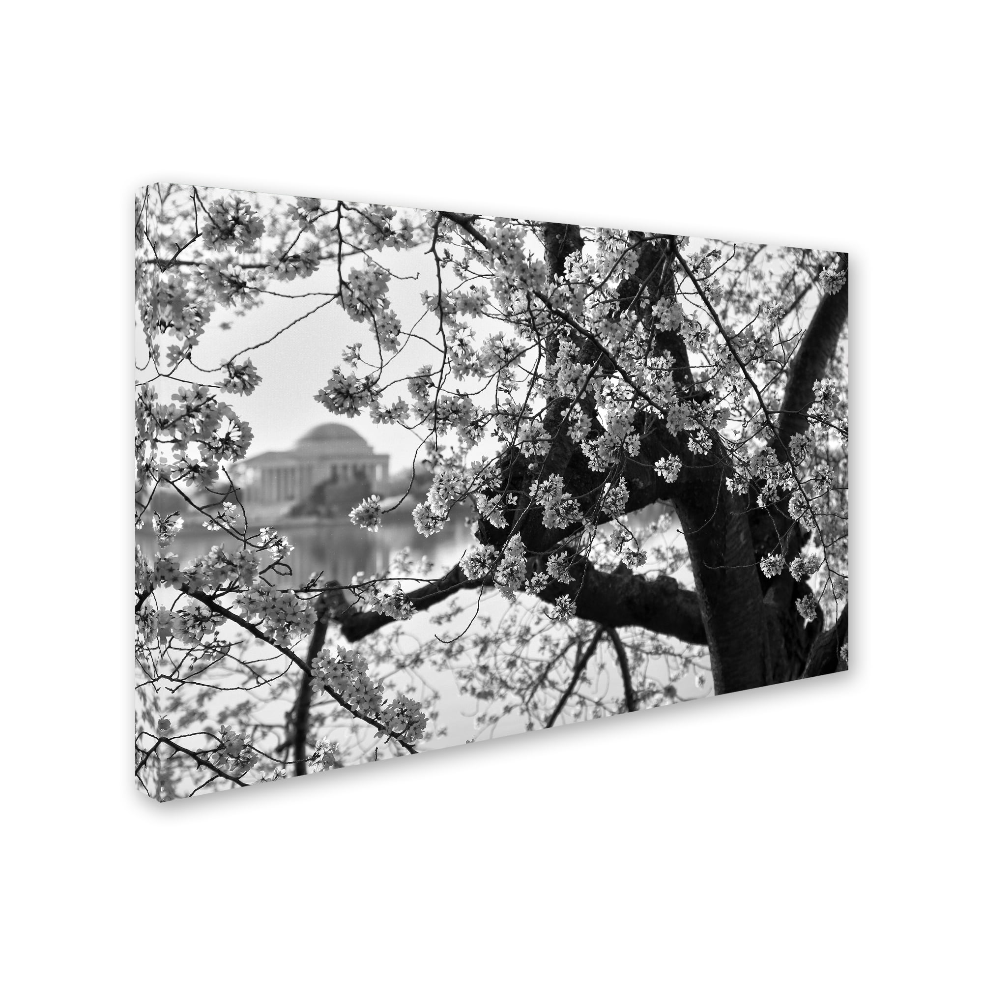 Trademark Fine Art "Blossoms BW" Canvas Art by CATeyes