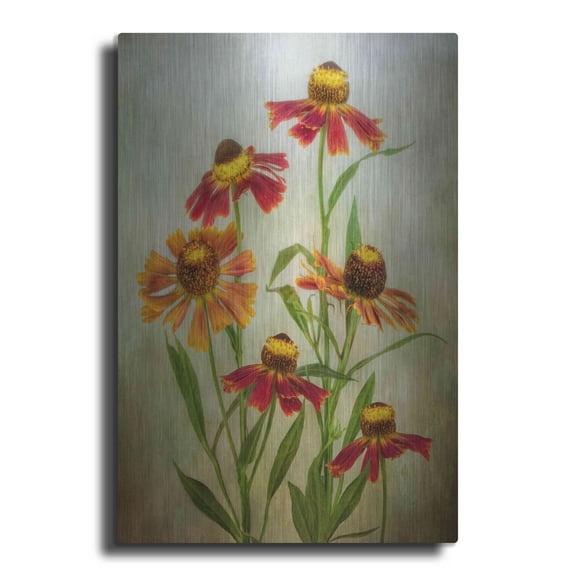 Luxe Metal Art 'Cabaret' by Mandy Disher, Metal Wall Art, 24"x36"