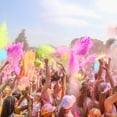thumbnail image 4 of Chameleon Colors 5 lb. Bags of Color Powder - 10 Pack - 10 Vibrant Colors - For 30-40 People - Kid Friendly, Non-Toxic & Gluten-Free - Great for Holi, Color Wars, Fun Run, Gender Reveal, Summer Camp, 4 of 8