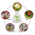 thumbnail image 4 of Pequeño invernadero de plástico reutilizable, cúpula de jardín, cubiertas de plantas protección contra heladas herramientas de jardín libre Sharpla cubierta protectora de guardería al aire libre, 4 of 7