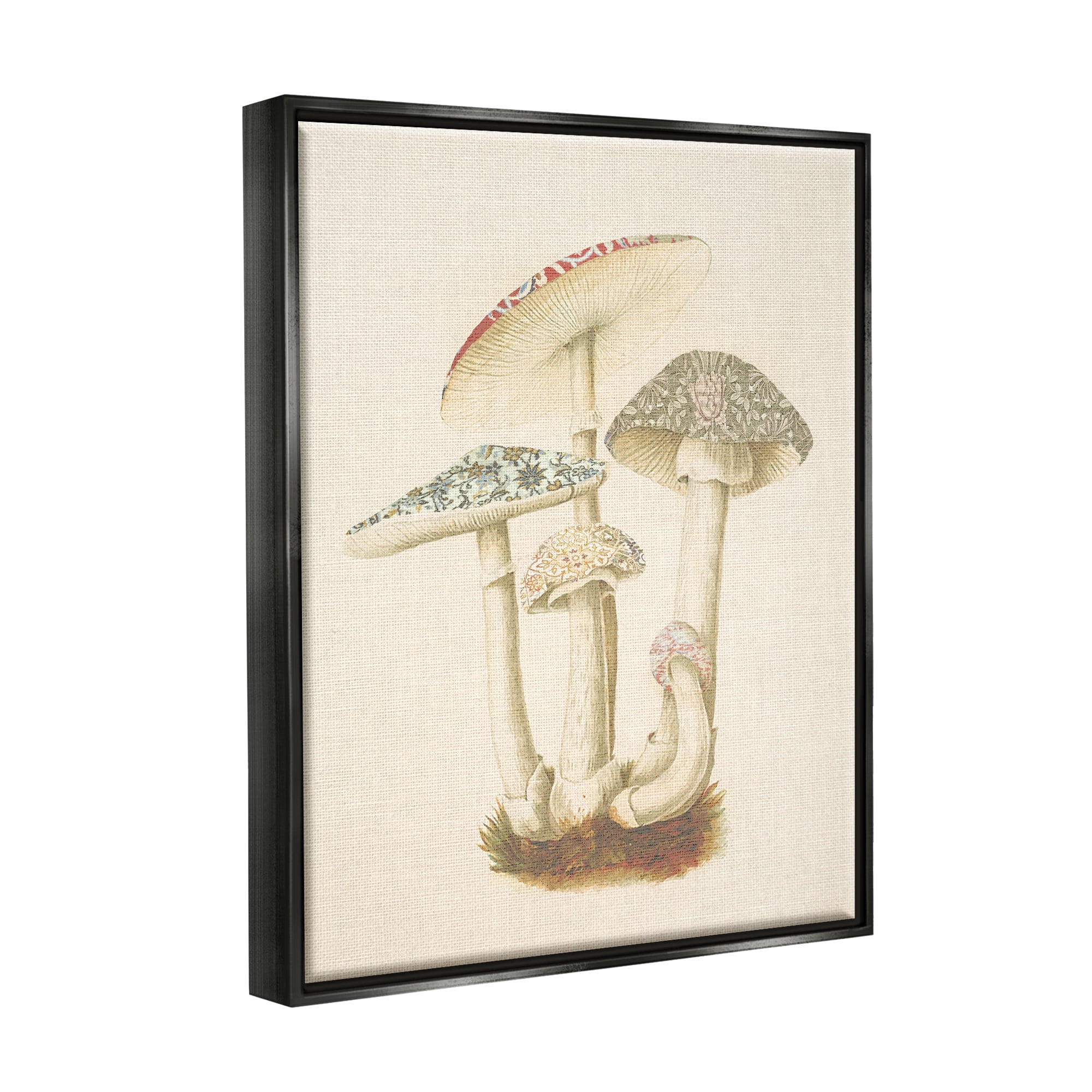 Stupell Industries Vintage Mushroom Study Botanical & Floral Painting Black Floater Framed Canvas Art Print Wall Art, 25 x 31
