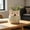 B, variant on Cute Owl Ceramic Succulent Planter, Small Animal Flower Pot for Indoor Plants & Home Decor