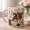 Black, variant on Horse Lover Mug with 3D Effect, Personalized Name Equestrian Coffee Cup Gift
