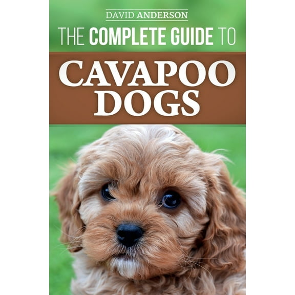 The Complete Guide to Cavapoo Dogs: Everything you need to know to successfully raise and train your new Cavapoo puppy, (Paperback)