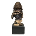 thumbnail image 3 of Ebros Tropical Rainforest Paradise Rio Bird Scarlet Macaw Parrot Bust Statue, 3 of 5