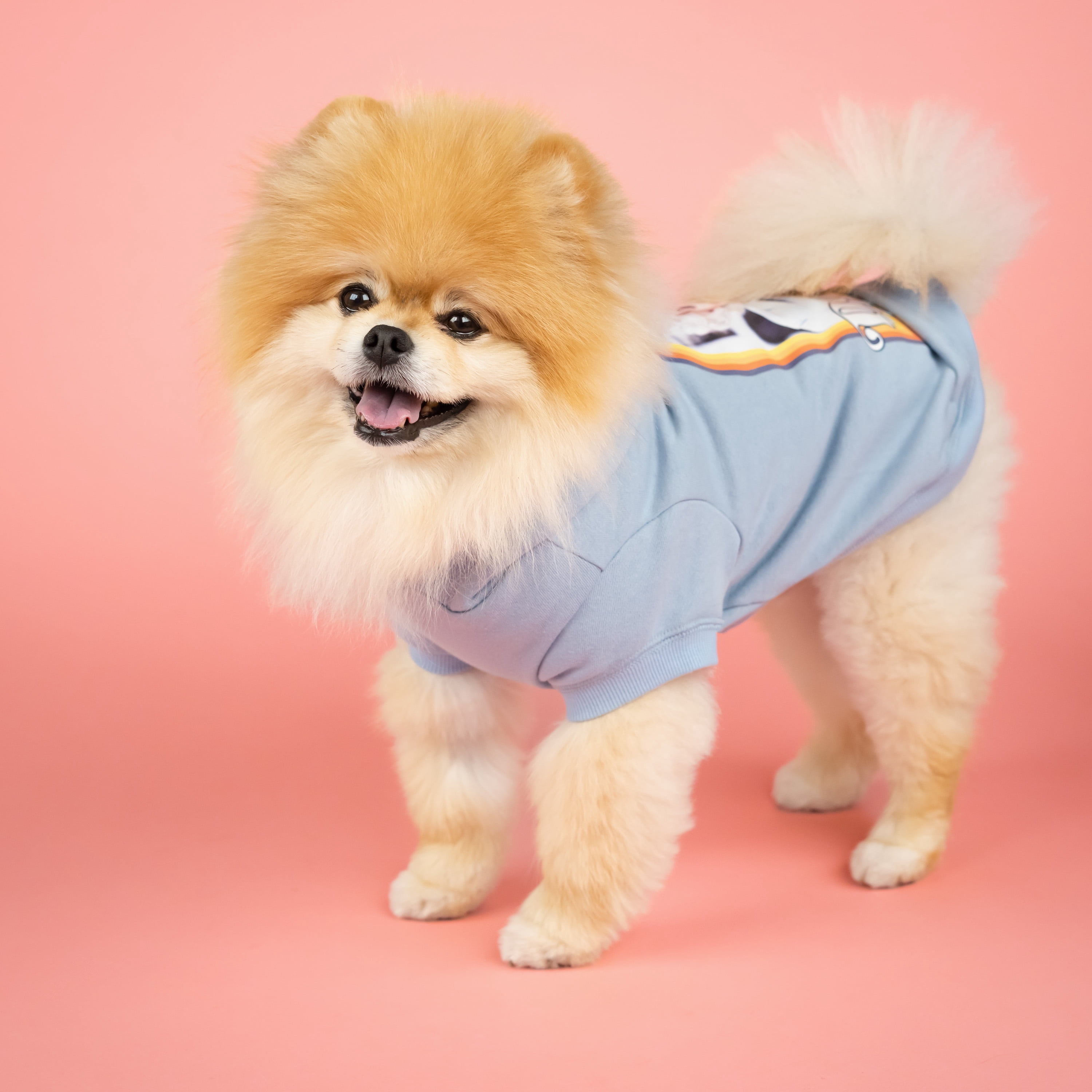 Doggy Parton, Dog Clothes, Dolly Parton Pet Hoodie, Blue, Medium