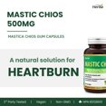 thumbnail image 3 of Herba Mastic Gum Capsules 500mg - 120 Capsules | Made in Canada, 3 of 9