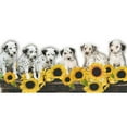 thumbnail image 3 of Hoenderkamp, Patrick 14x9 Black Modern Framed Museum Art Print Titled - Puppies and Sunflowers, 3 of 5