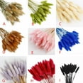 thumbnail image 5 of 50Pcs Dried Pampas Grass Eternal Flower,Dried Rabbit Tail Grass for Wedding Bouquets Decoration,17.7inch, 5 of 7