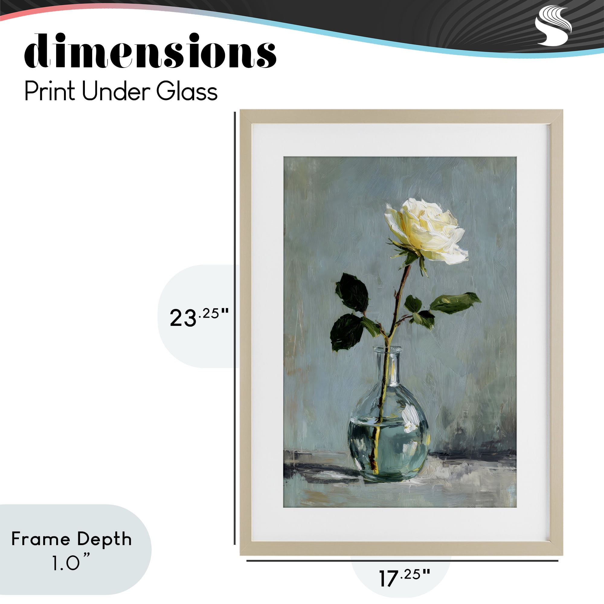 Stupell Industries Sweet White Rose in Vase Birch Framed Print Under Glass, design by Petal Prints Design