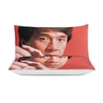 thumbnail image 4 of Jackie chan Essential Home Comfort Sleep Touch Durable Surface Zipper System Duvet Cover Sets Product, 4 of 5
