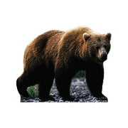 Advanced Graphics Grizzly Bear Life Size Cardboard Cutout Standup