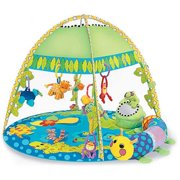 Sassy Deluxe Lily Pad Lagoon Developmental Playmat