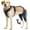 L, variant on Wag Wize Knee Brace Harness for Dogs — Immediate Pain Relief & Improve Mobility,Wagwize Dog Knee Brace with Harness/4 Limb Wear Adjustable/Metal Stabilization System,Wagwize Dog Hip Brace (L)