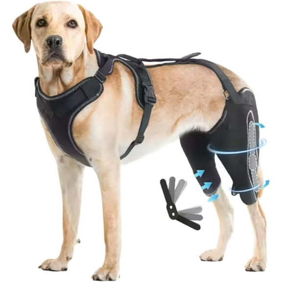 Wag Wize Knee Brace Harness for Dogs — Immediate Pain Relief & Improve Mobility,Wagwize Dog Knee Brace with Harness/4 Limb Wear Adjustable/Metal Stabilization System,Wagwize Dog Hip Brace (L)