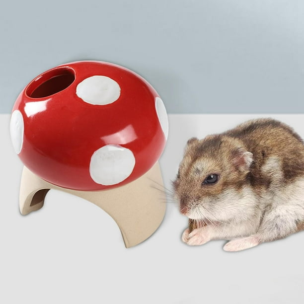 Coolest hamster cheap cage ever