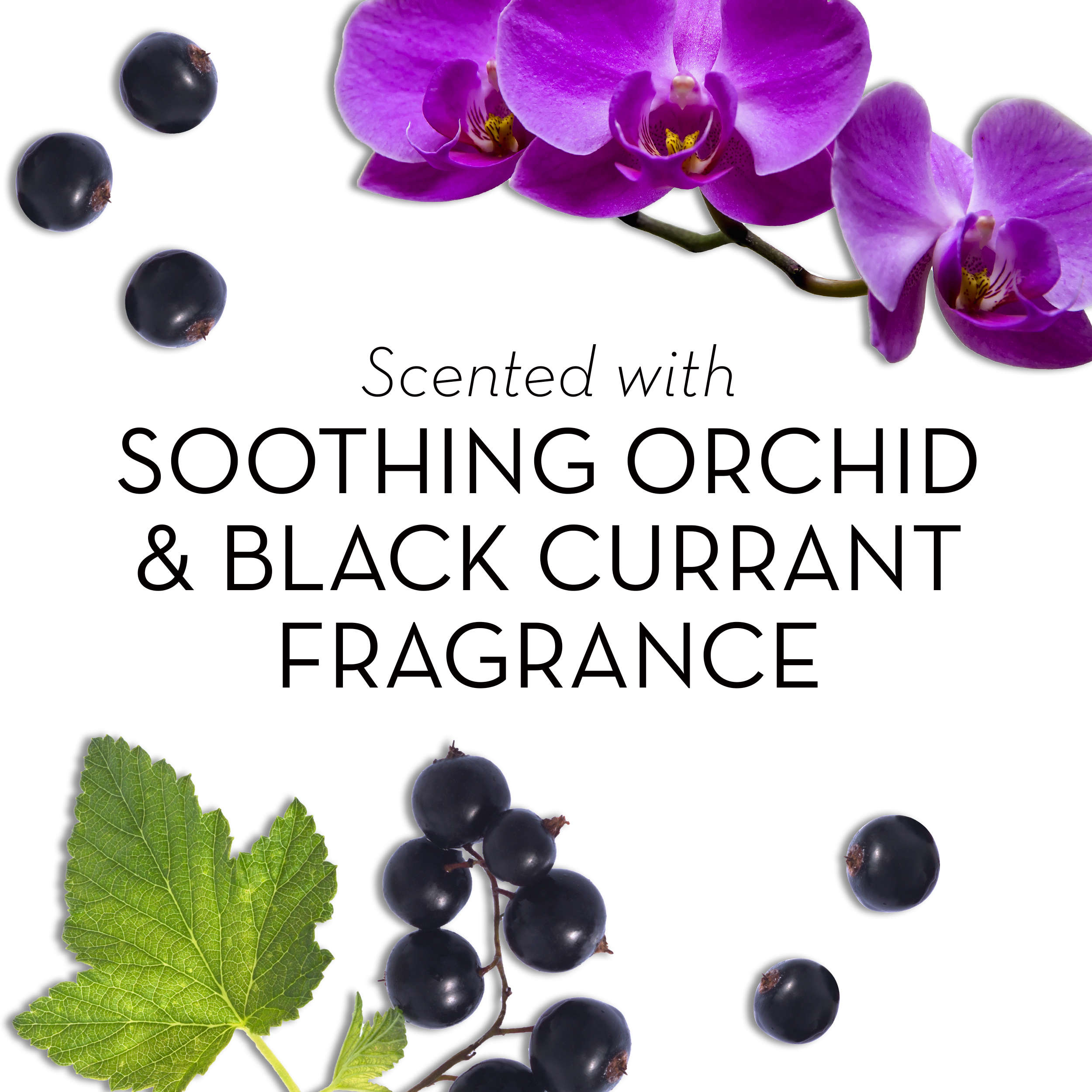 Olay Fresh Outlast Soothing Orchid & Black Currant Beauty Bar 4 oz, 6 count - image 3 of 8