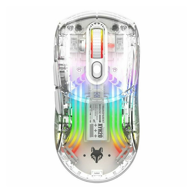 Rbaofujie Souris de Jeu Ergonomique Sans Fil avec Design Transparent Complet, Double Mode 2.4G/bluetooth/souris Filaire, Rétroéclairé RGB 3D, Souris Ergonomique Silencieuse avec 7 Boutons, Souris Pc