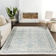 thumbnail image 5 of Pasargad Home Efes 8' x 10' Power-Loomed Gray Rug, For Indoor Space and all Age of Group, 5 of 6