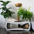 thumbnail image 5 of PetFusion Jumbo 2 level Cat Scratcher Lounge Scratch, Play, Perch, and Hide Pet Furniture, 39" x 11" x 14", White, 5 of 7