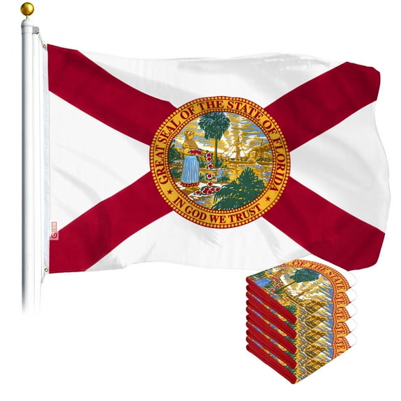 Florida FL State Flag 3x5FT 5-Pack Printed Polyester By G128