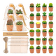 thumbnail image 2 of "24pcs Velas Aromaticas Cactus Verdes Decorativas Con Maceta Belug, Café ", 2 of 5