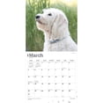 thumbnail image 3 of BrownTrout Labradoodles 2024 Mur Carré 30.48x60.96 CM, 9781975463519, 3 of 8