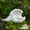 A, variant on Remembrance Gift Dog Pet Memorial Grave Marker Commemorative Tombstone Stone with Paw Print for Garden Yard Pet Cemetery with Weatherproof Stake and Engraving Surface