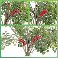 thumbnail image 3 of 30pcs Plant Bender Elbows Tomato Clips Low Stress Training Plant, 3 of 3