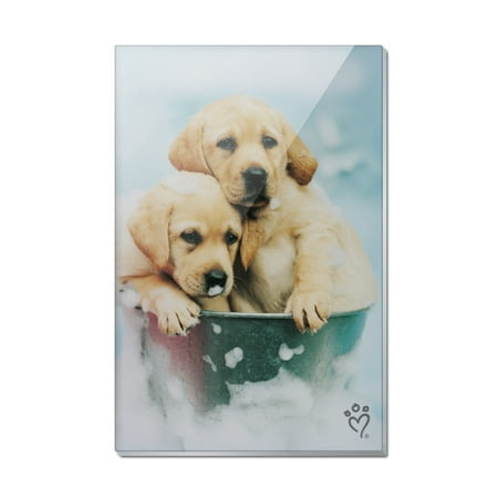 

Labrador Retriever Puppies Dogs Bath Bubbles Bucket Rectangle Acrylic Fridge Refrigerator Magnet