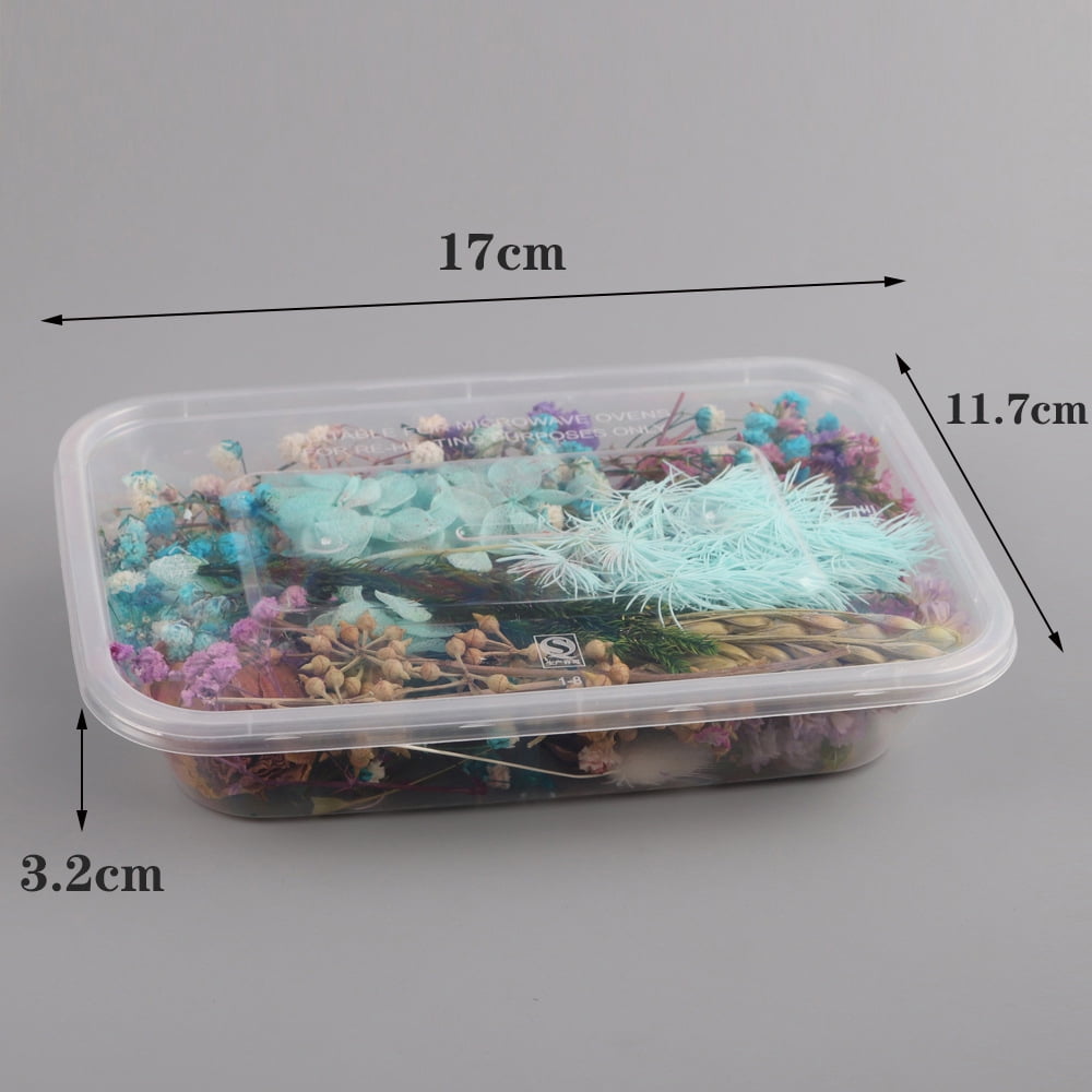 Real Natural Dried Flowers for Art Craft Mixed Multiple Colorful Dried